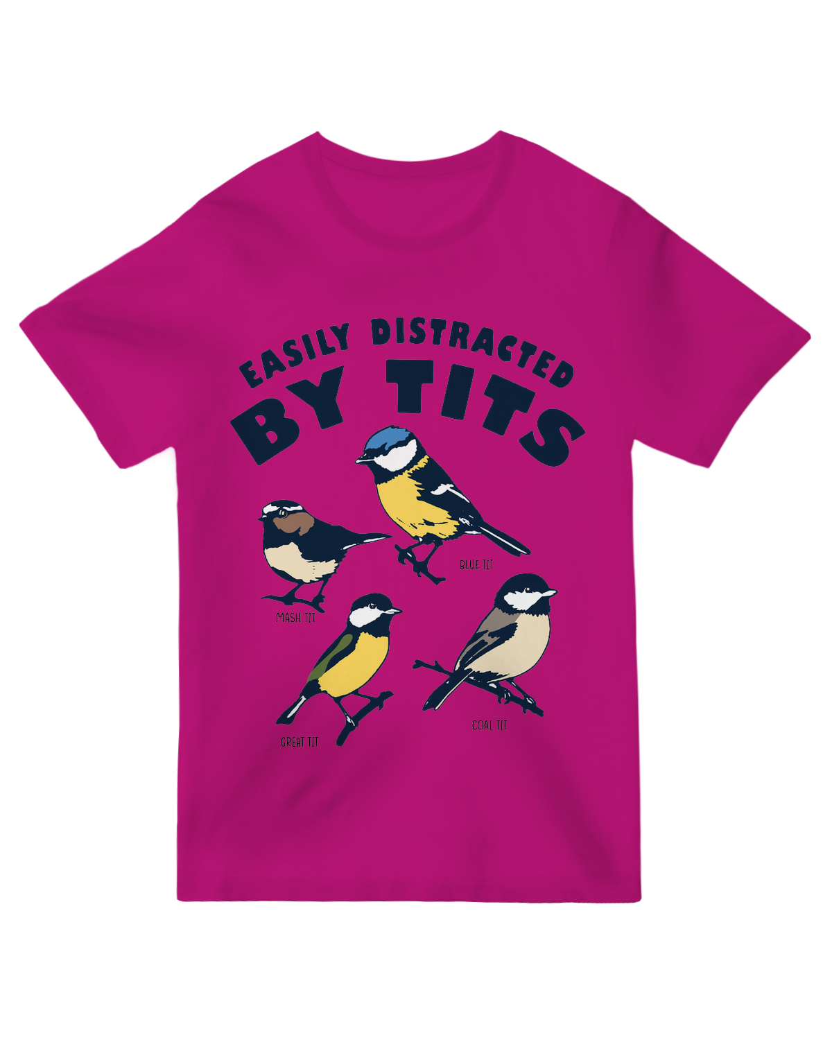 The Birds are Distracting