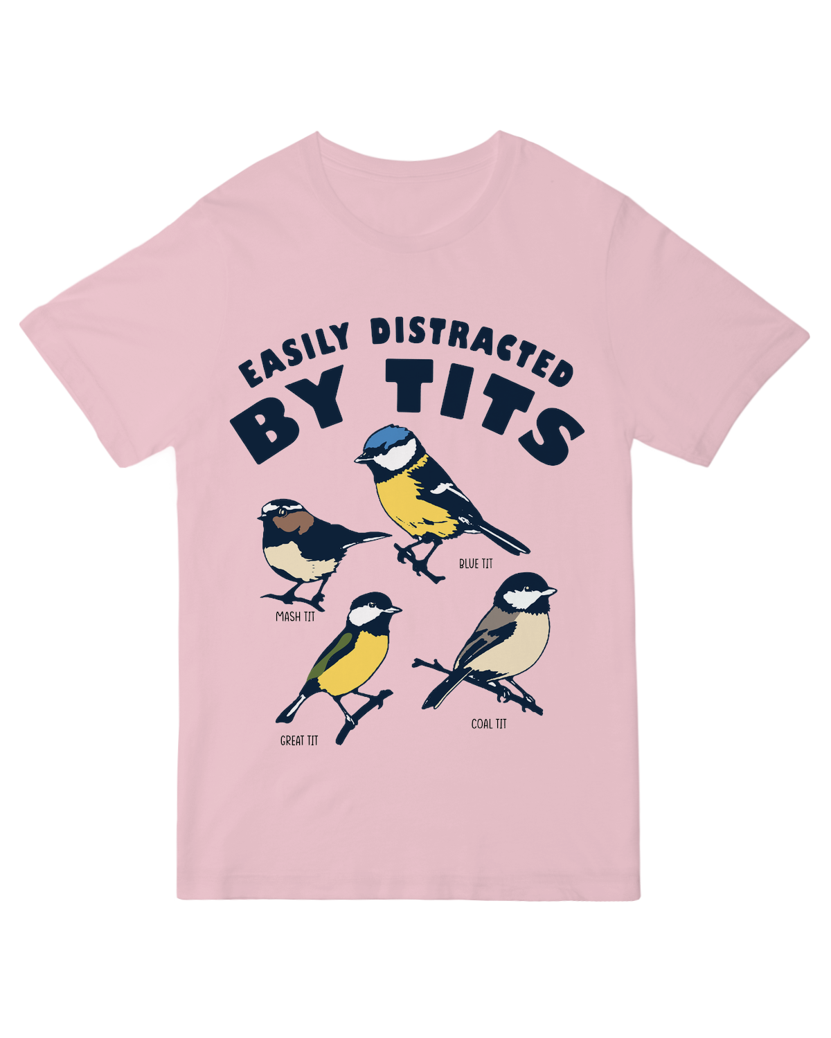 The Birds are Distracting