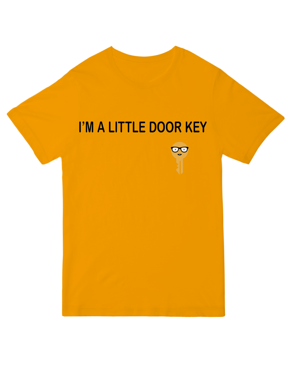 I'm A Little Door key