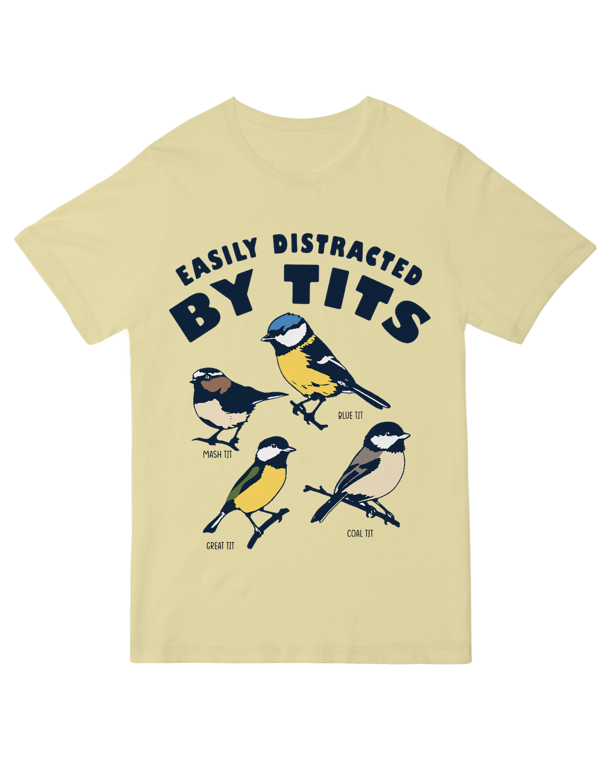 The Birds are Distracting