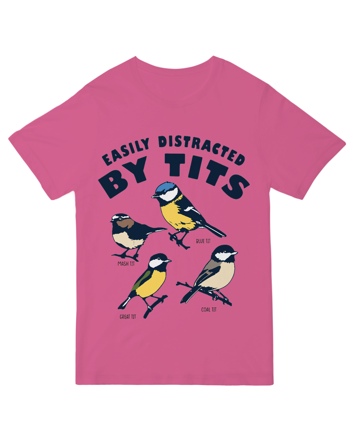 The Birds are Distracting