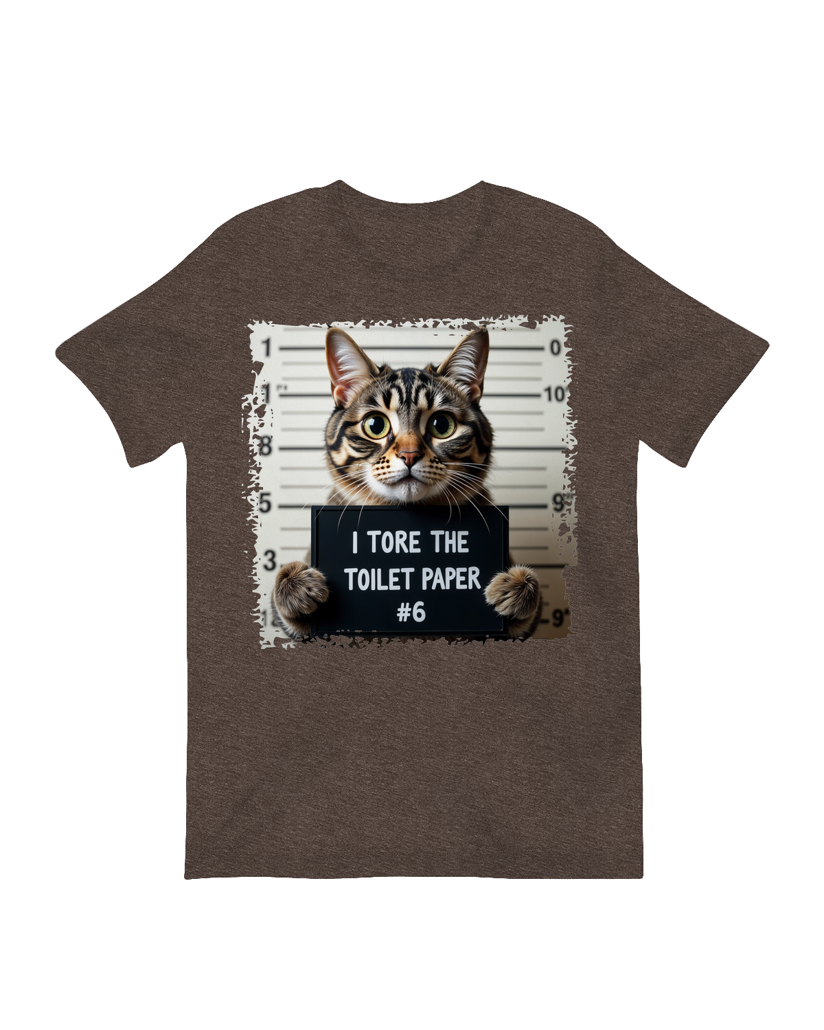 I tore the toilet paper