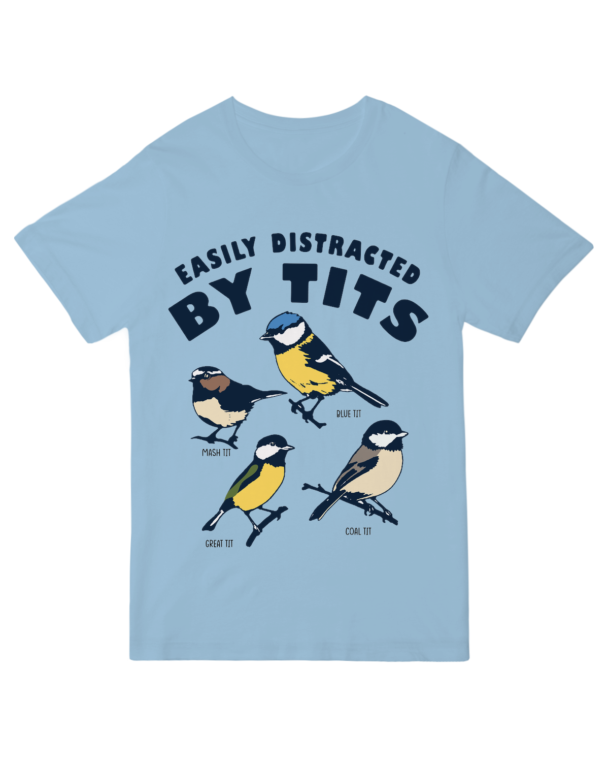 The Birds are Distracting