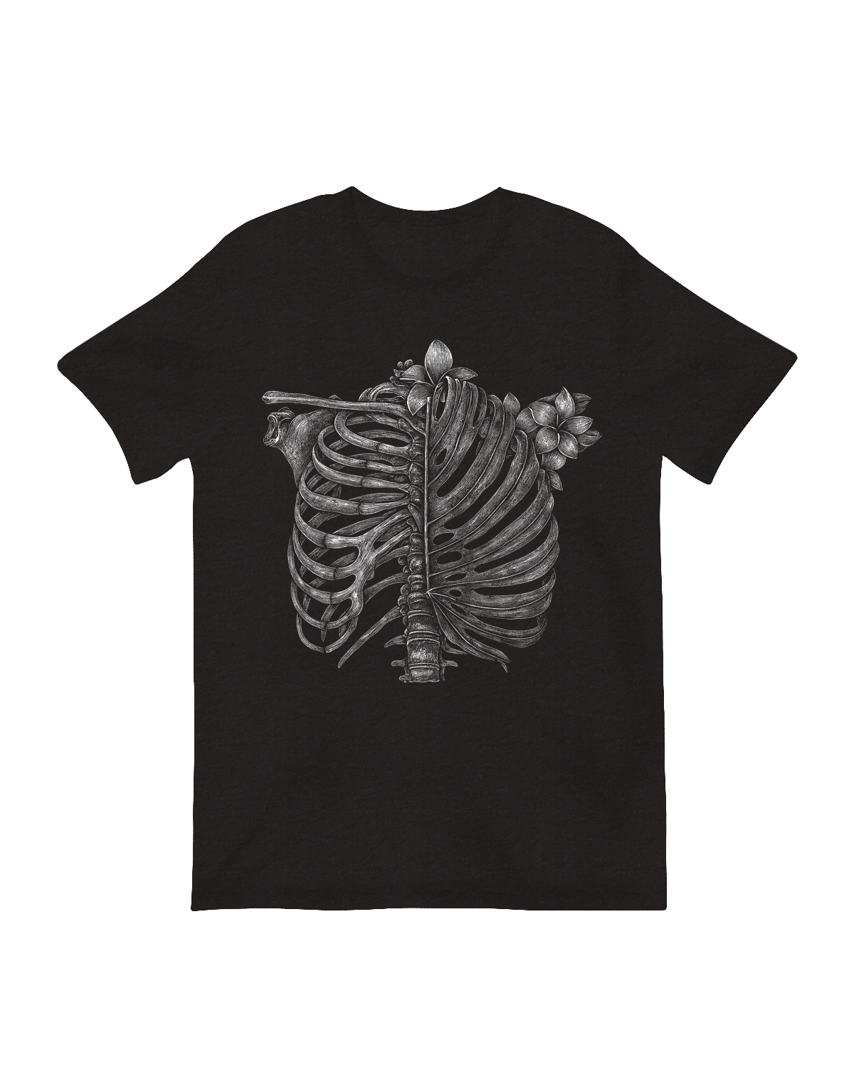 Detailed rib bone structure scientific decor