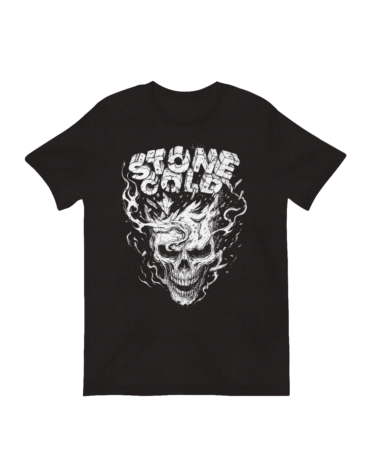 Stone Cold 3:16 wrestling merchandise wall decor