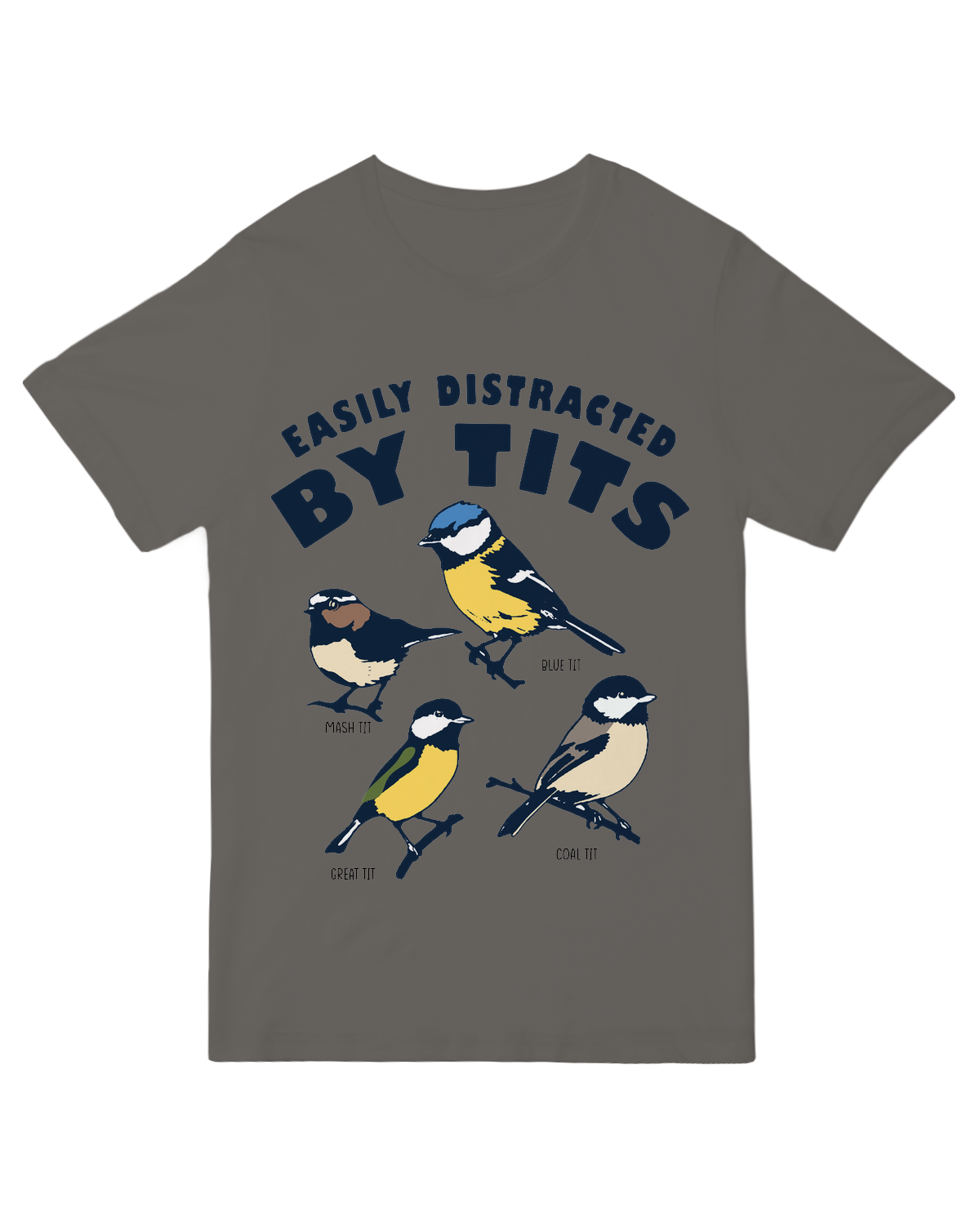 The Birds are Distracting