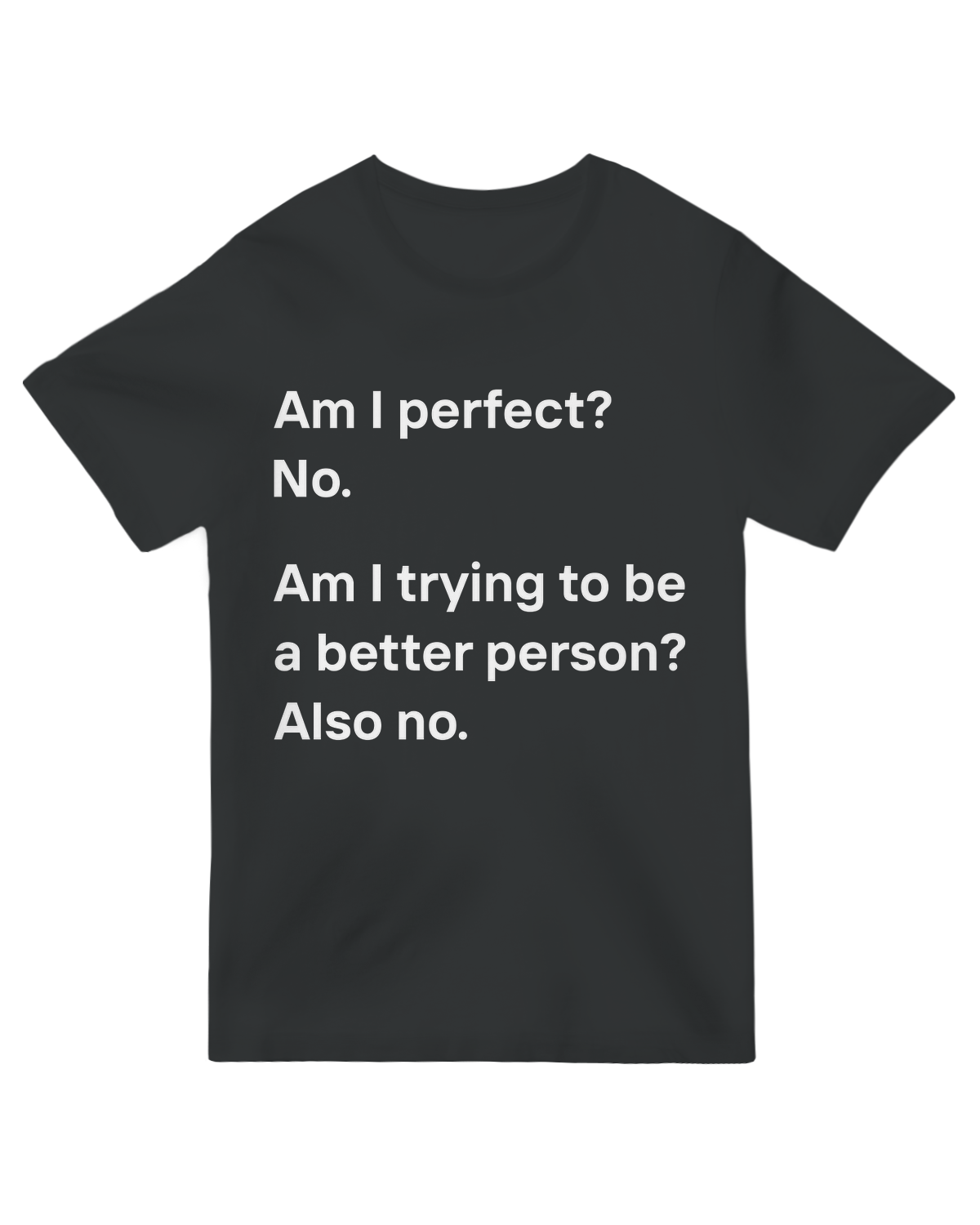 "Am I Perfect No T-Shirt - Funny Self-Aware Humor Graphic for Imperfect Humans"