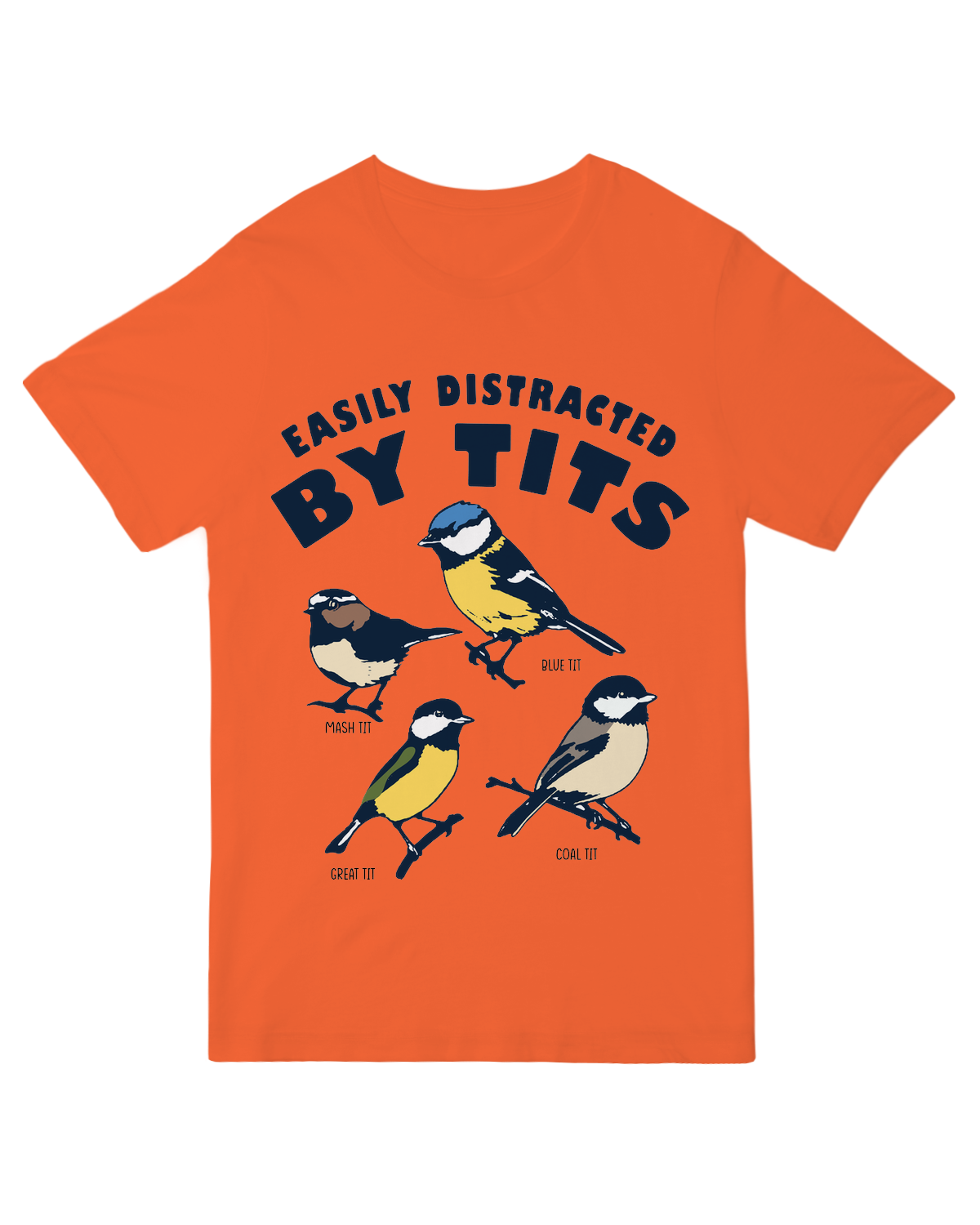 The Birds are Distracting