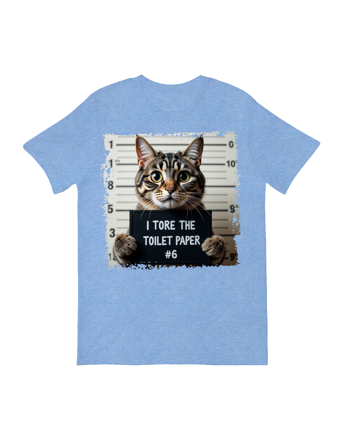 I tore the toilet paper