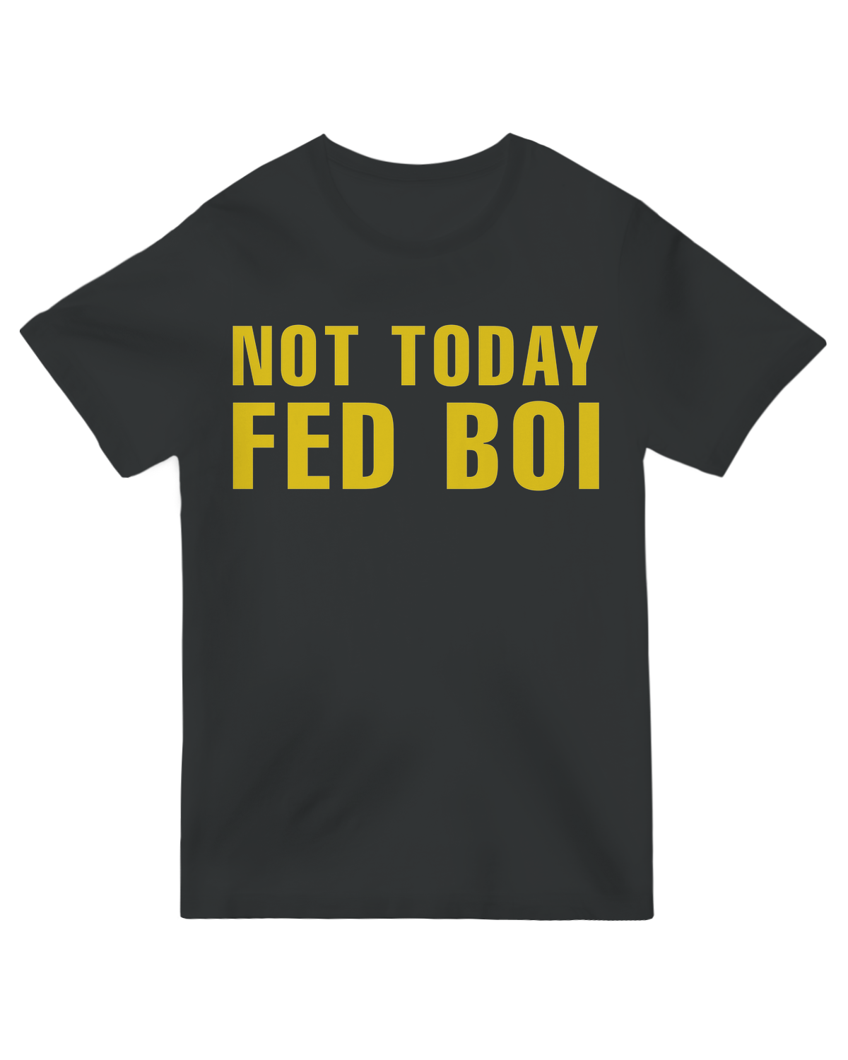 "Not Today Fed Boi meme t-shirt - Playful anti-surveillance apparel for privacy-conscious users"