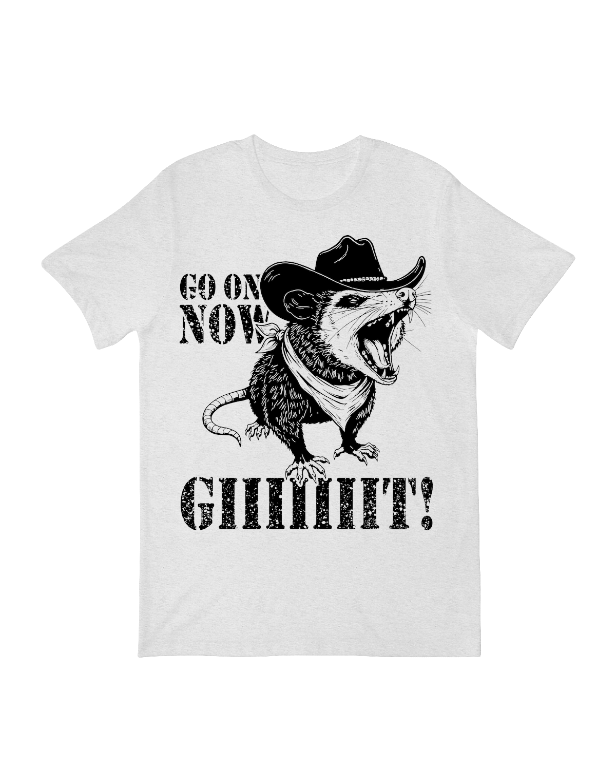 Funny "Go On Now Giiiiiiit" southern saying t-shirt – distressed text graphic on vintage-style cotton tee