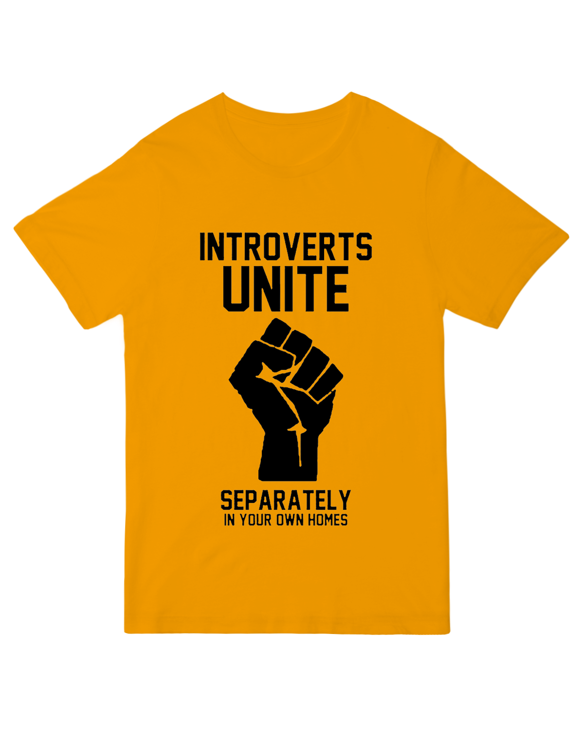 Introverts Unite Geek