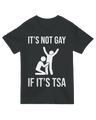 Its not gay if its TSA