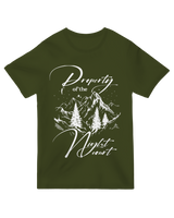 Property of the night court