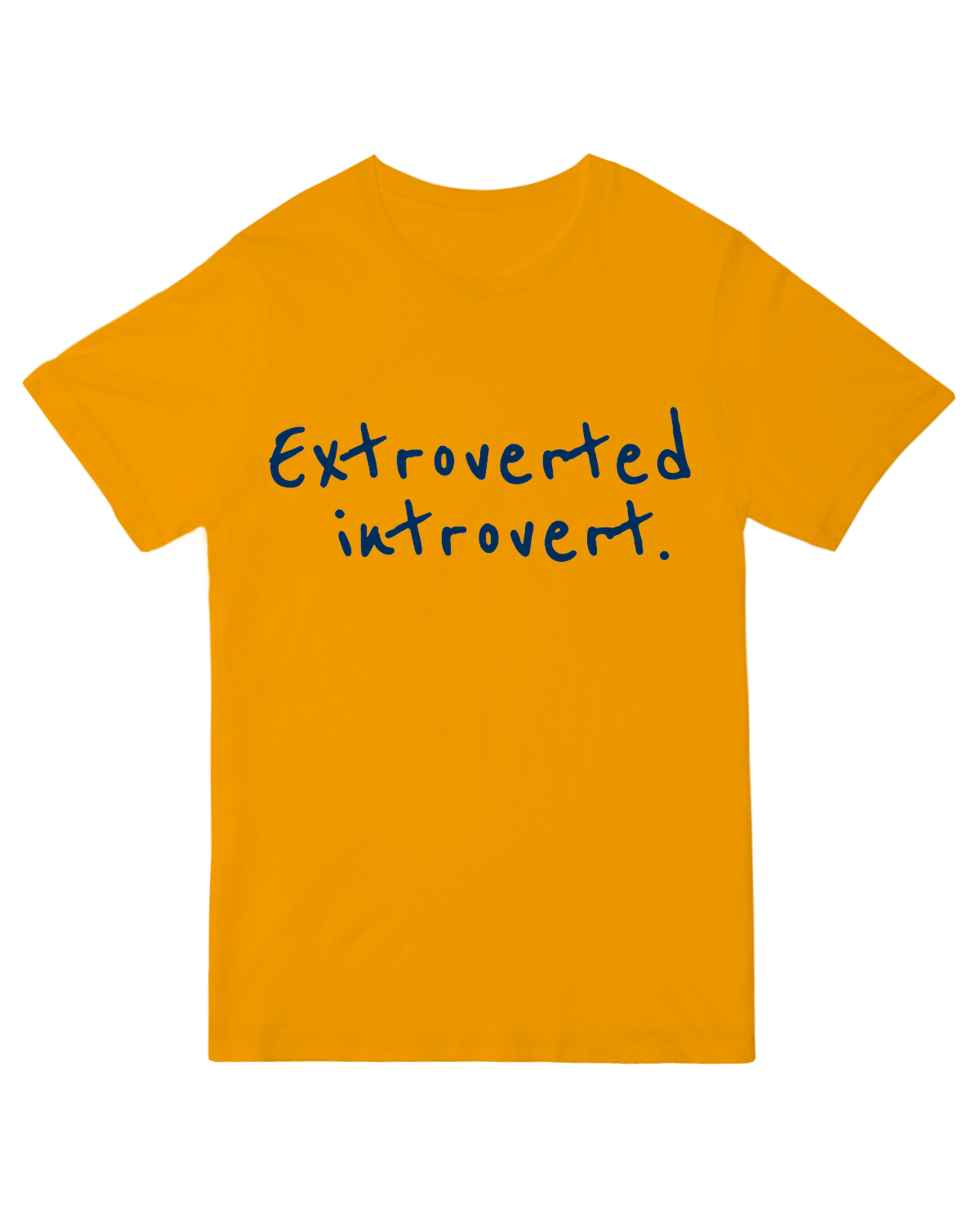 Extroverted Introvert