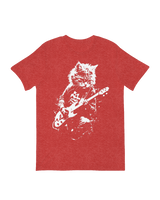 181 Guitar cat