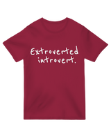 Extroverted Introvert