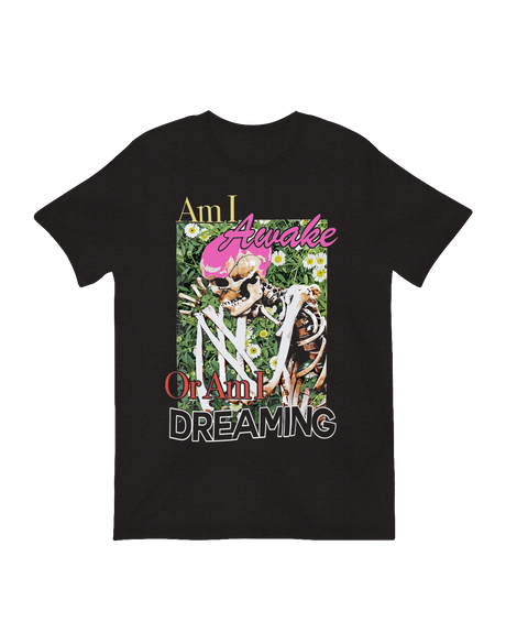 Awake Or Dreaming Skeleton philosophical art print