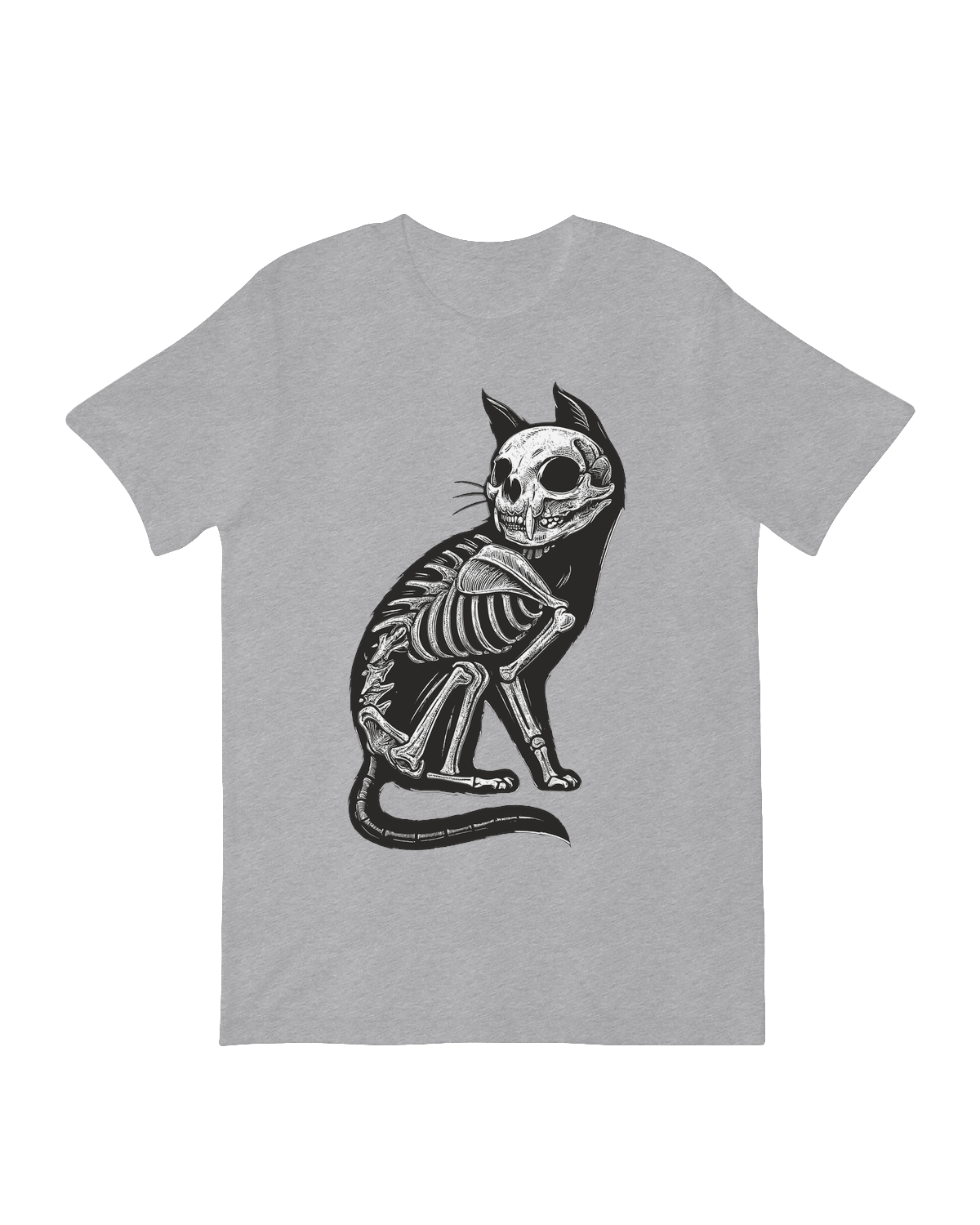 Cat X-Ray Skeleton feline anatomy art print

