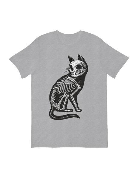 Cat X-Ray Skeleton feline anatomy art print

