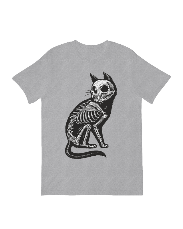 Cat X-Ray Skeleton feline anatomy art print

