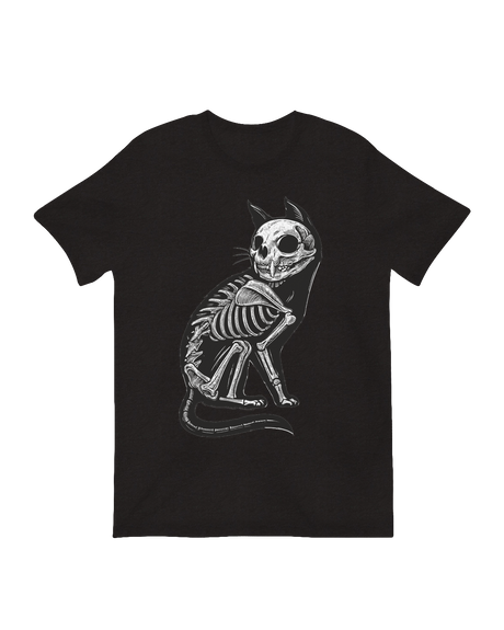 Educational animal skeleton anatomical decor

