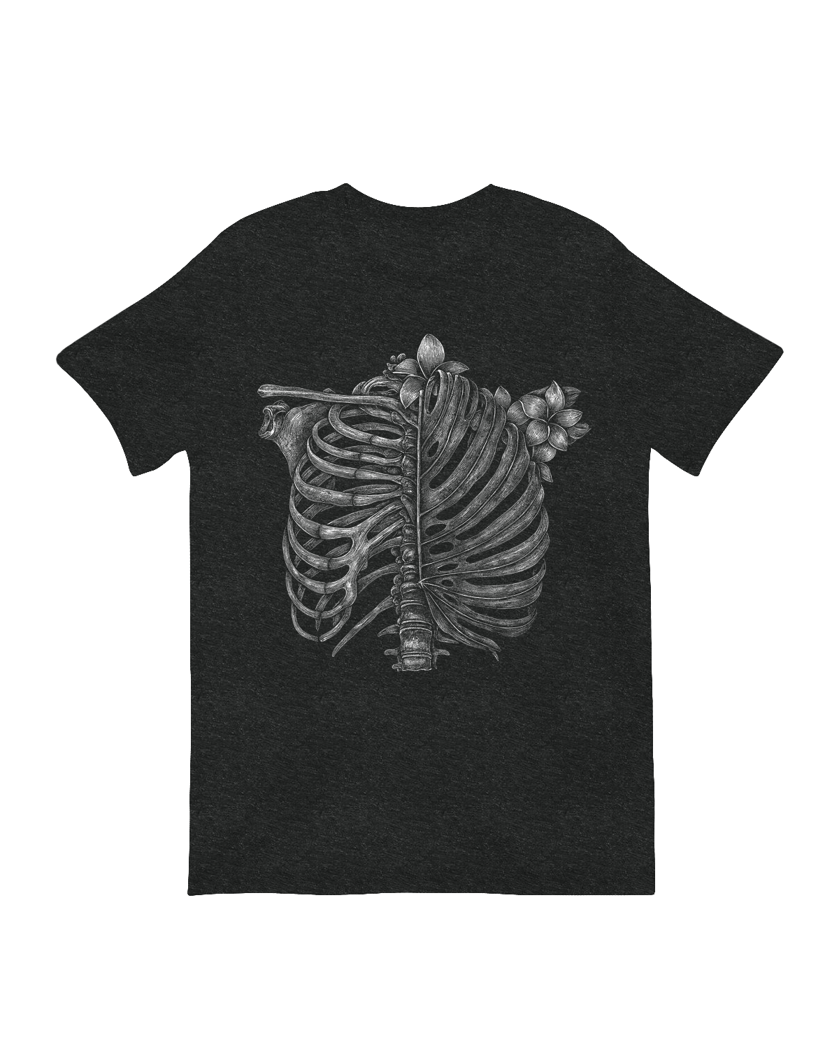 Human skeleton rib cage anatomical art print

