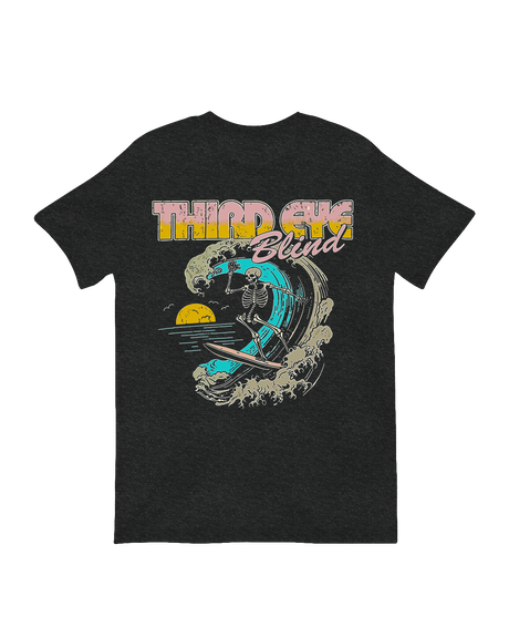 Third Eye Blind Skeleton Surfing music poster print 