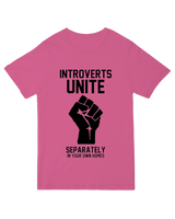 Introverts Unite Geek