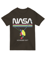 Retro NASA Voyager Spacecraft