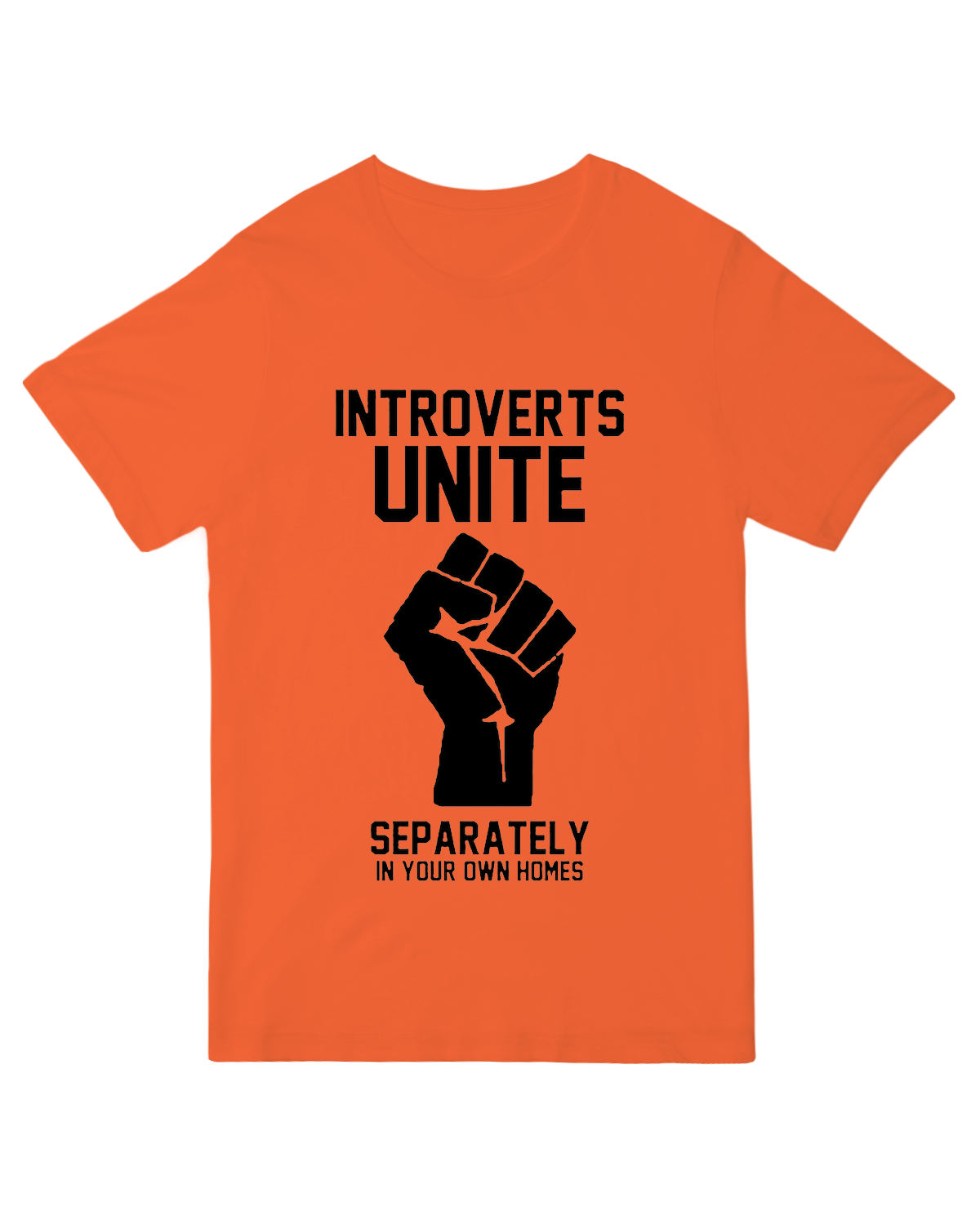 Introverts Unite Geek