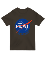 Not Flat Science Nerd