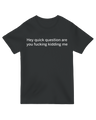 "Funny sarcastic 'Hey quick question are you kidding me?' printed t-shirt in [color], unisex cotton graphic tee"