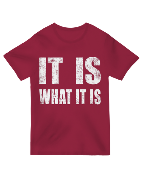 "Black minimalist ‘It Is What It Is’ text t-shirt on soft cotton, sarcastic humor and philosophy apparel"