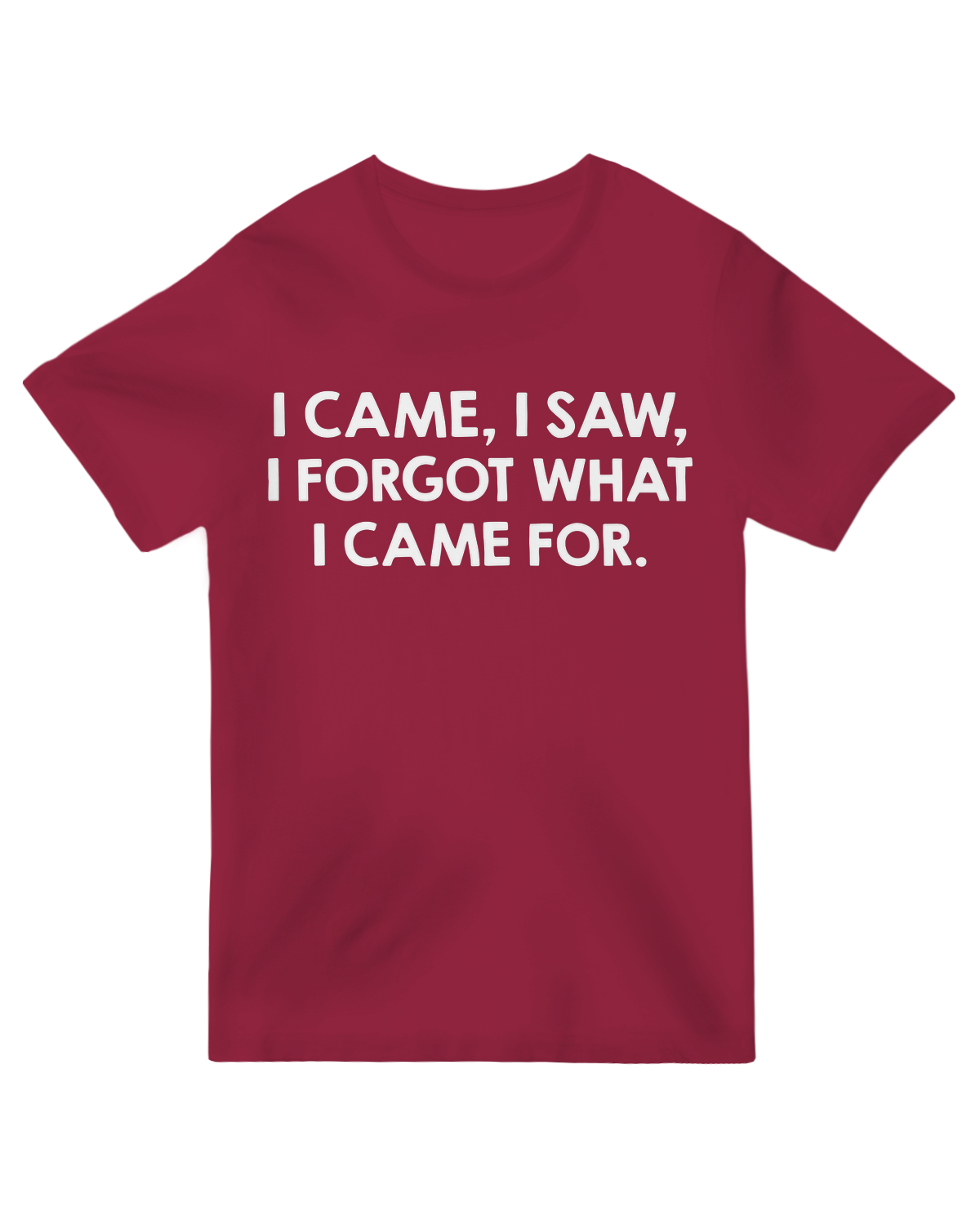 "Vintage-style 'I Came and Saw Nerd' t-shirt with Latin-inspired distressed text on soft cotton"