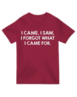 "Vintage-style 'I Came and Saw Nerd' t-shirt with Latin-inspired distressed text on soft cotton"